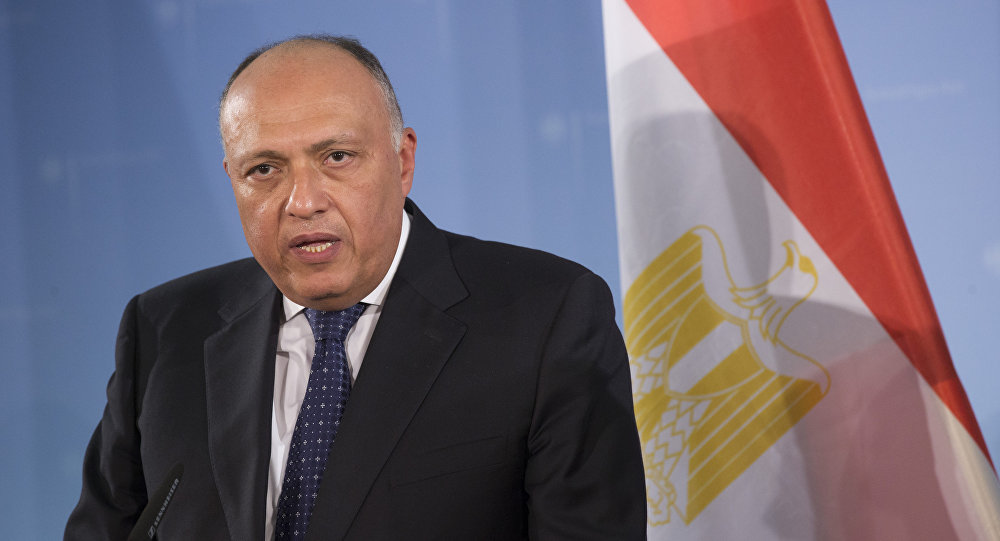 وزير الخارجية المصري يلتقي السكرتير العام للمنظمة الدولية للفرانكفونية