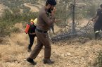 الدفاع المدني بالمندق ينجح في السيطرة على حريق أعشاب بموقعين مختلفين بمحافظة المندق