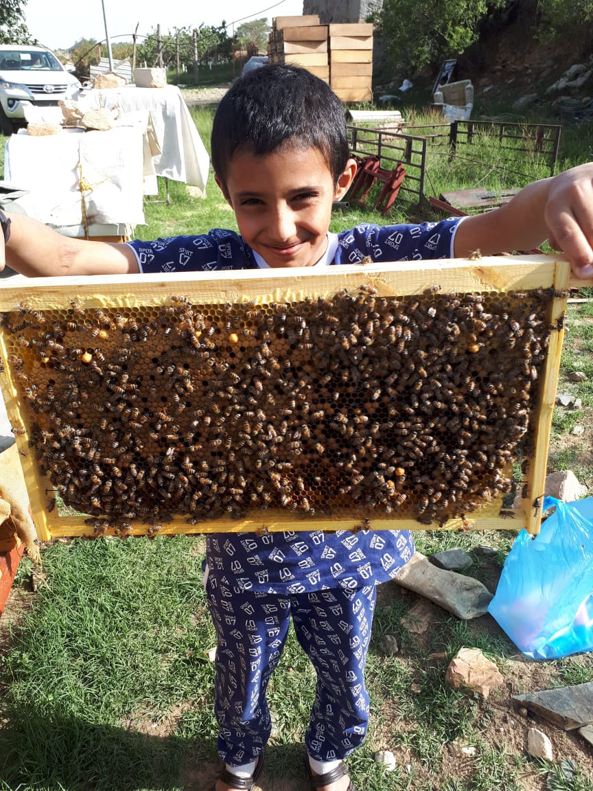 أنطلاق مهرجان العسل الأول بمحافظة ميسان
