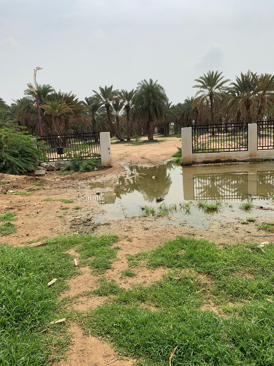 بلدية الحرث تقوم بردم المستنقعات وتجمعات مياه الأمطار