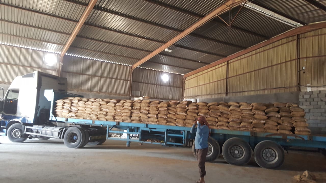 بلدية القطيف تضبط 40 طناً من الأرز الفاسد المعد للبيع
