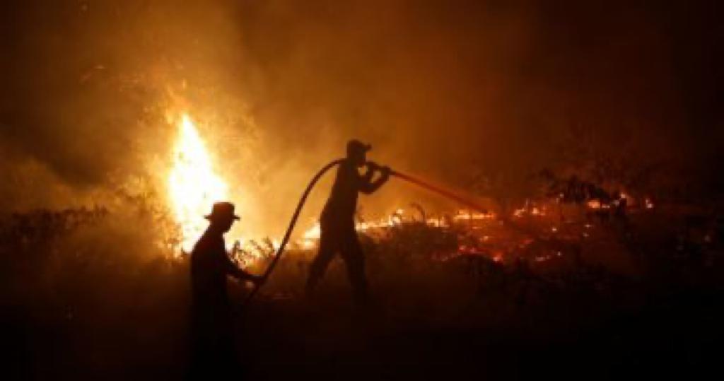 حريق هائل فى 3 بلدات لبنانية والنيران تلتهم الأشجار والمنازل