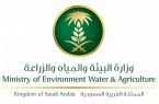 وزارة الزراعة والمياه تطلق حملة تشجير بغرس خمسين ألف شجرة في يوم واحد بمنتزه ثادق