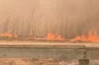 إجلاء 180 ألف شخص بسبب حرائق الغابات شمال كاليفورنيا