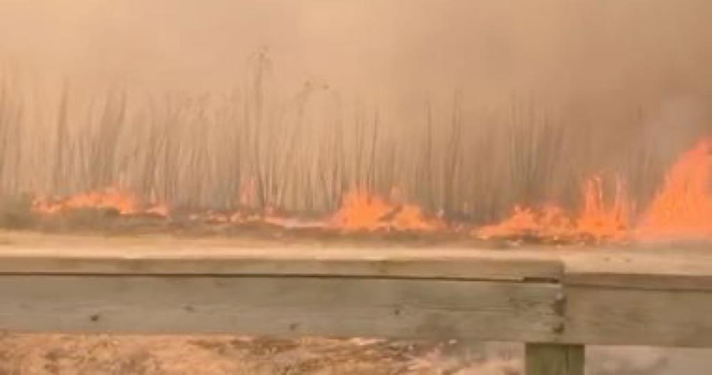 إجلاء 180 ألف شخص بسبب حرائق الغابات شمال كاليفورنيا