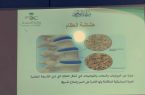 الشؤون الصحية المدرسية بتعليم مكة تُطلق فعاليات اليوم العالمي للتوعية بهشاشة العظام