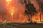 استراليا تتهم مراهق بإشعال الغابات.. والنيران تحصد أرواح 4 أشخاص