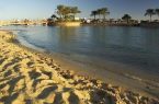  “برنيس “بالبحر الأحمر من أفضل المناطق الأستشفائية فى مصر