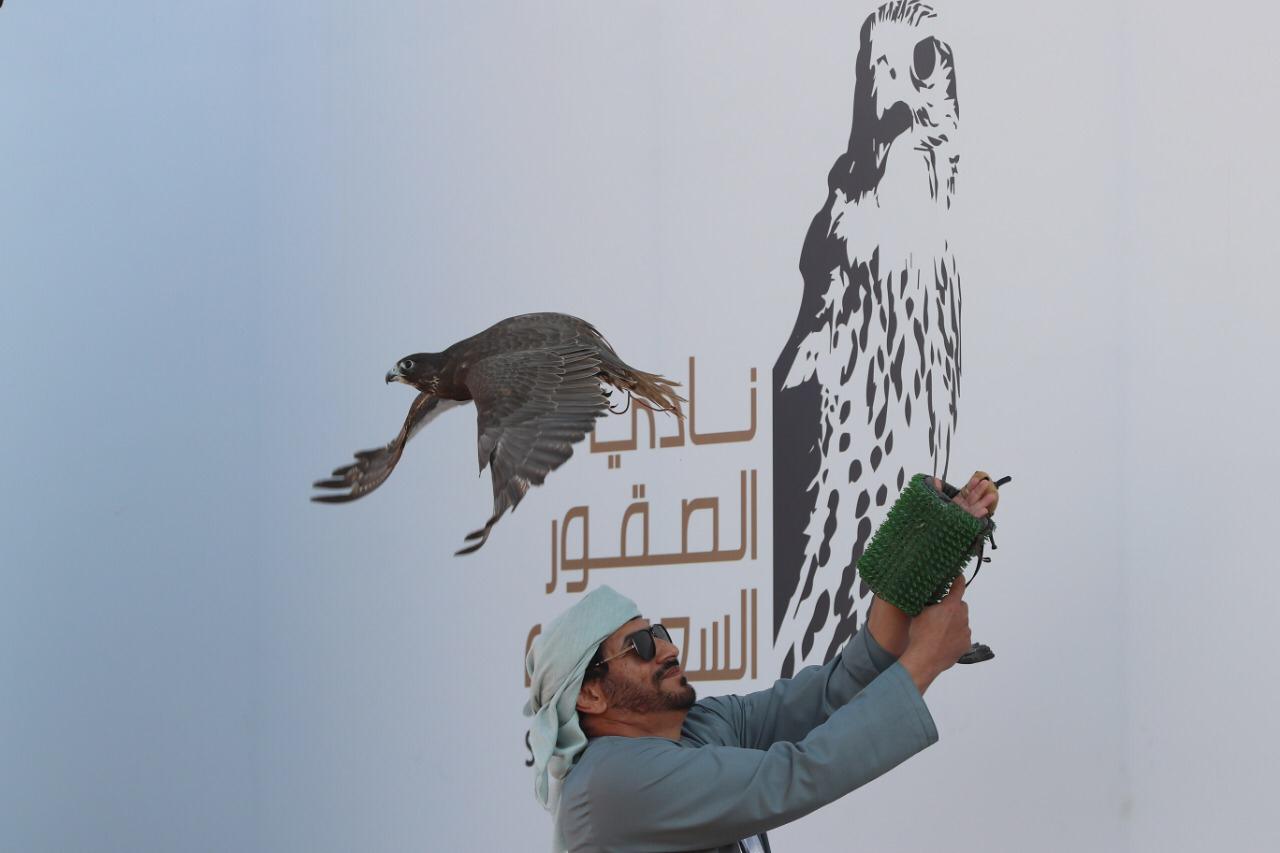 ختام الأشواط النهائية بمهرجان الملك عبدالعزيز للصقور غدًا الثلاثاء