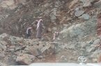 شاهد بالفيديو والصور: انهيارات صخرية بمركز جبال القهر تحتجز المعلمين