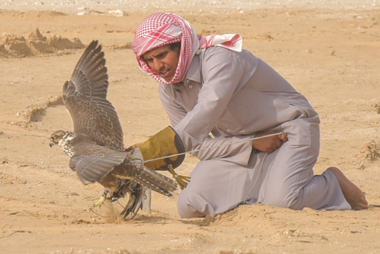 اللجنة السياحية بمحافظة بقيق تستعد لأنطلاق مهرجان “تراث الصحراء” في النسخة الرابعة