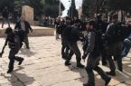 إصابة العشرات بعد إعتداء قوات الاحتلال على مصلين بالمسجد الأقصى