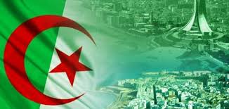 إيقاف 124 شخصًا بين مهاجرين ومهربين والقبض على ثلاثة عناصر إرهابية بالجزائر