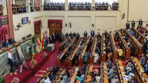 إثيوبيا تقر قانونًا يحد من امتلاك الأسلحة بعد تصاعد العنف