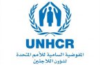 وفدان من البنك الدولي والمفوضية السامية للأمم المتحدة لشؤون اللاجئين يزوران تشاد