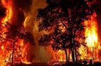 أستراليا تستدعي 3 آلاف جندي للمساعدة في مكافحة حرائق الغابات