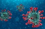 الإمارات تعلن تسجيل حالة إصابة جديدة بفيروس كورونا