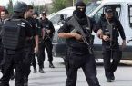 القبض على عنصرين إرهابيين في تونس