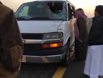 جمل سائب يتسبّب في حادث مروري لحافلة معلمات ويصيب سائقها بالطائف