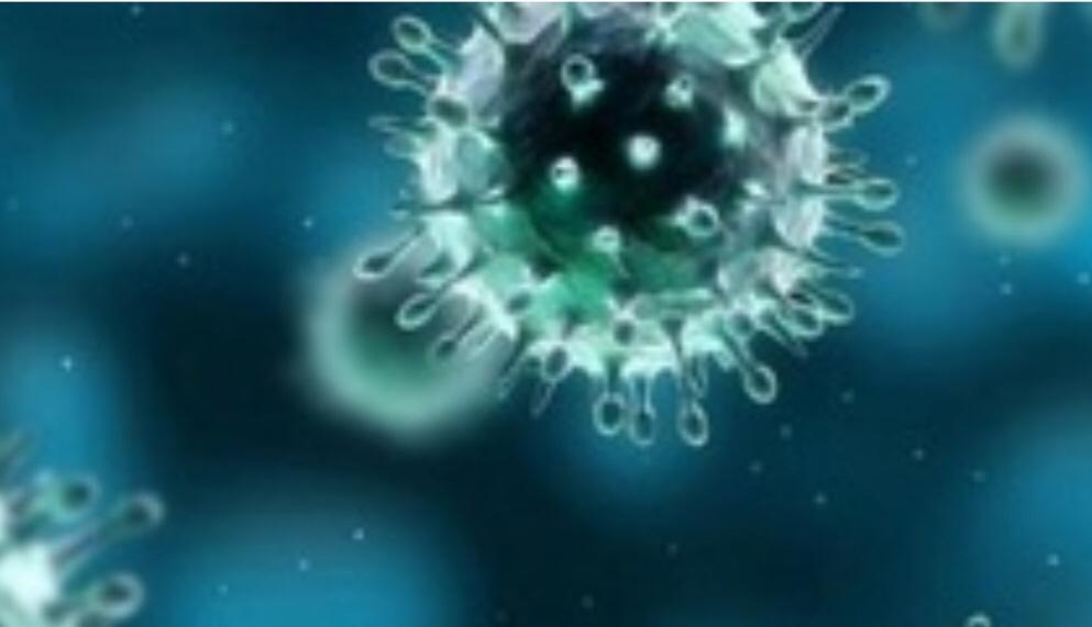 فيروس يظهر بعد كورونا في البرازيل