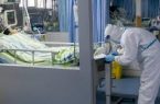 الإمارات تعلن عن شفاء حالتين جديدتين مصابتين بفيروس كورونا