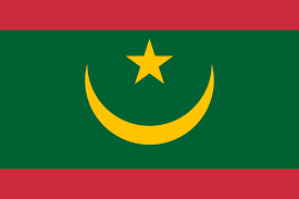 موريتانيا تشارك بوحدة جديدة من الشرطة ضمن قوات حفظ السلام الأممية
