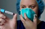 هولندا ارتفاع عدد الإصابات بفيروس كورونا إلى 82 حالة
