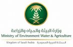 وزارة البيئة والمياه والزراعة توضح إجراءات استخراج تصريح للمستثنين من منع التجول
