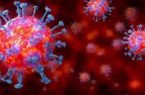 أكبر ناجية في العالم من فيروس كورونا .. هولندية عمرها 107 أعوام
