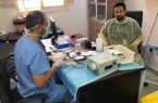 جمعية رعاية مرضى الدم بجازان تنفذ حملة للتبرع بالدم بالتعاون مع عدد من الجهات