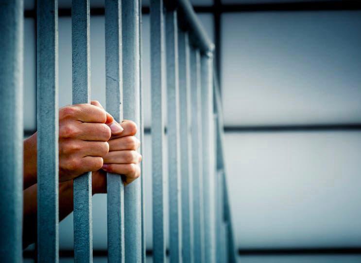إطلاق سراح سجناء بمحافظة تربه بعد شمولهم العفو
