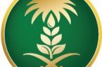 وزارة البيئة تُطلق بوابة “ريف” لدعم التنمية الزراعية المستدامة