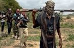 الأمن النيجيري يقضي على 35 إرهابيًا من جماعة بوكوحرام
