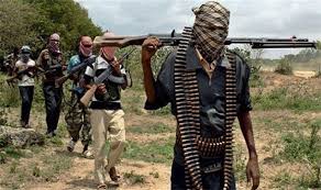 الأمن النيجيري يقضي على 35 إرهابيًا من جماعة بوكوحرام