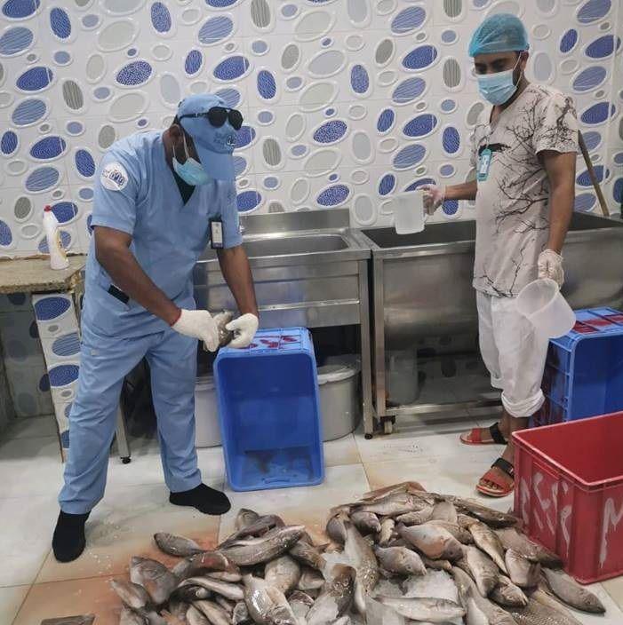 أمانة جدة: إتلاف 250 كيلو من الأسماك الفاسدة بنطاق الصفا