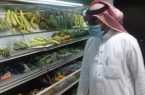 بلدية محافظة بيش تواصل جهودها المستمرة لسلامة الغذاء 