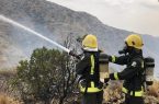 مدني النماص يخمد حريقاً في أشجار بمنطقة جبلية وعرة بقرية القفعة