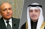 “الناصر و شكري “قرار حظر السفر من مصر إلى الكويت محل مراجعة