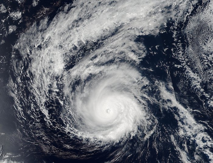 الإعصار “لورا” يضرب سواحل لويزيانا الأمريكية و حدود تكساس