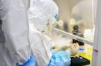أرمينيا تسجل 200 إصابة جديدة بفيروس كورونا المستجد