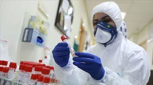 الجزائر تسجل 391 إصابة مؤكدة بفيروس كورونا