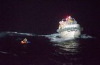 غرق سفينة شحن تحمل الآلاف من الماشيه قبالة سواحل اليابان
