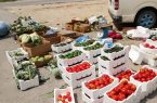 بلدية محافظة الجبيل تصادر 400 كيلو من الخضراوات