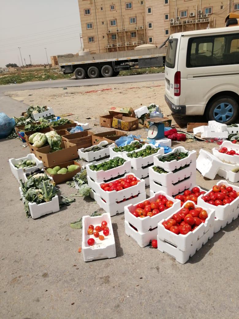 بلدية محافظة الجبيل تصادر 400 كيلو من الخضراوات