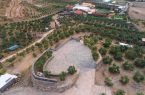 “مزرعة الزيتونة” أولى محطات المسار الإعلامي السياحي الثالث بمنطقة الباحة 