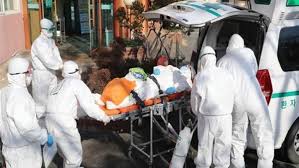 المكسيك تسجل 6000 إصابة جديدة بفيروس كورونا