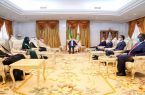 رئيس جمهورية موريتانيا يستقبل وزير الدولة لشؤون الدول الأفريقية