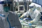 بريطانيا : ظهور سلالة جديدة لفيروس كوفيد19 سريعة الإنتشار
