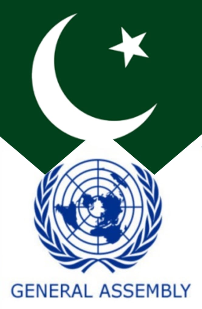 الجمعية العامة للأمم المتحدة تعتمد قرار برعاية باكستان حول “تعزيز ثقافة السلام والتسامح لحماية الأماكن الدينية”