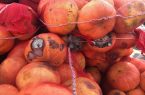 أمانة الشرقية تضبط ٢ طن من فاكهة الفراولة والقرع الفاسد بالدمام